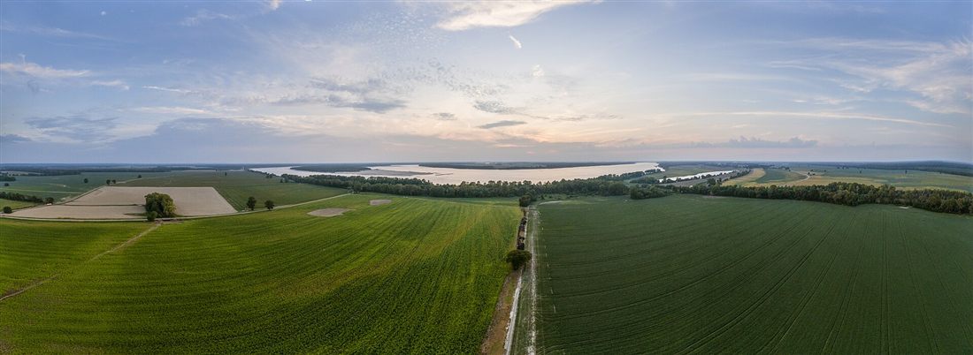 Aerial view of farmland